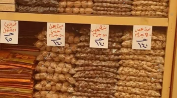 تبدأ من 25 جنيهًا.. أسعار البلح والتمور في معرض أهلا رمضان 2026